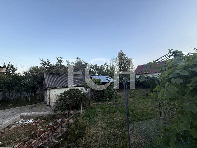  20