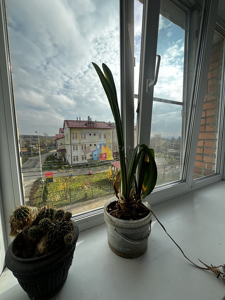 Продажа 2 комнатной квартиры, 33 м2, обл. Тульская, г. Тула, улица Юлиуса Фучика, 26к1 3