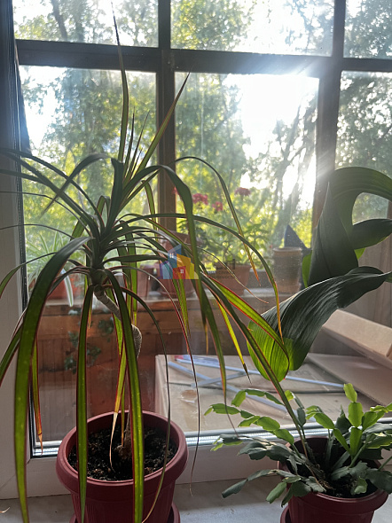 Продажа 3 комнатной квартиры, 56 м2, обл. Тульская, г. Тула, улица Седова, 39 10