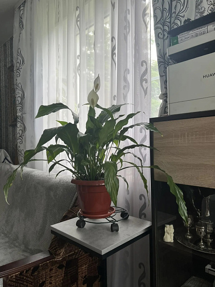Продажа 1 комнатной квартиры, 30.9 м2, обл. Тульская, г. посёлок Косая Гора, улица Дронова 8