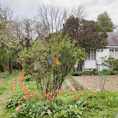 Купить дачи в Туле СНТ и Тульской области - Единая служба недвижимости 