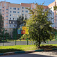Продажа 3 комнатной квартиры, 68.4 м2, обл. Тульская, г. микрорайон Мясново, Санаторная улица, 9 22