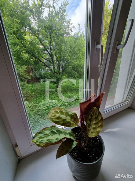 Продажа 3 комнатной квартиры, 56.3 м2, обл. Тульская, г. Тула, улица Щегловская Засека, 9 11