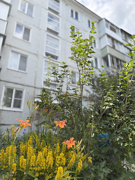 Продажа 3 комнатной квартиры, 46.4 м2, обл. Тульская, г. город Белев, Рабочая улица, 44 16