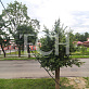 Продажа 2 комнатной квартиры, 45 м2, обл. Тульская, г. посёлок Косая Гора, улица Максима Горького, 36 34