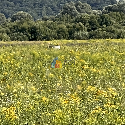 Земельные участки в Туле, продажа участков под ИЖС - ЕСН 