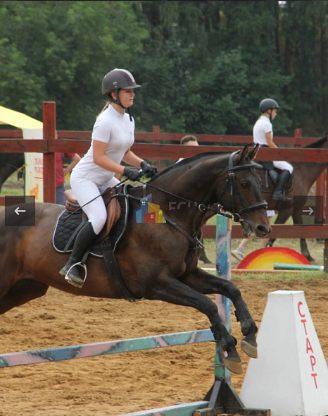 Продажа 3 комнатной квартиры, 130 м2, обл. Тульская, г. Тула, улица Фрунзе, 27А 6