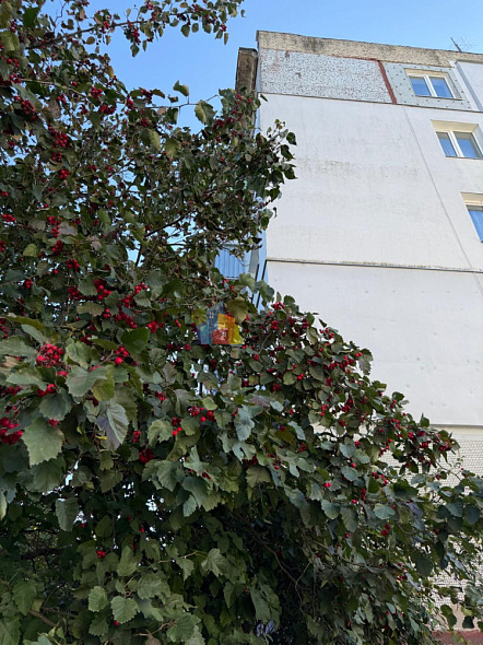 Продажа 3 комнатной квартиры, 58.4 м2, обл. Тульская, г. городской округ Тула, посёлок Иншинский, 8 26