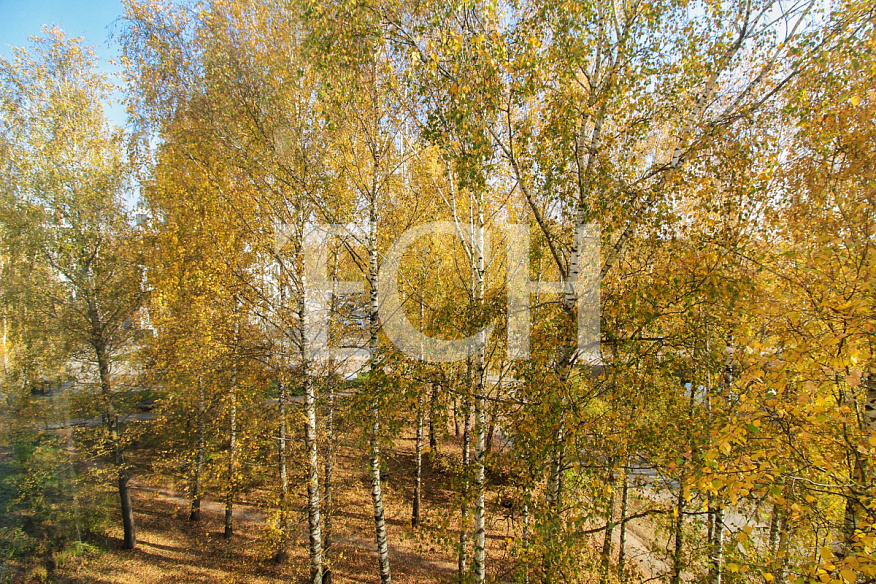 Продажа 3 комнатной квартиры, 58.1 м2, обл. Тульская, г. Щёкино, Ясенковский проезд, 11 25