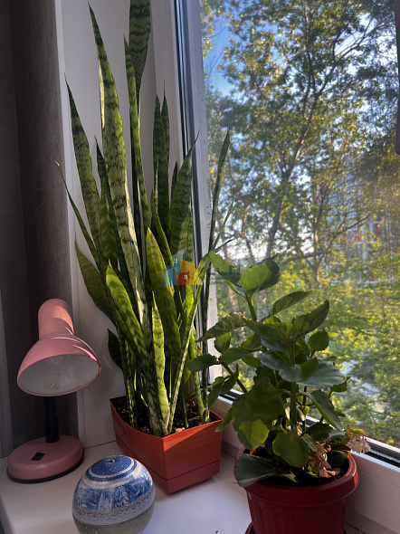 Продажа 3 комнатной квартиры, 56 м2, обл. Тульская, г. Тула, улица Седова, 39 10