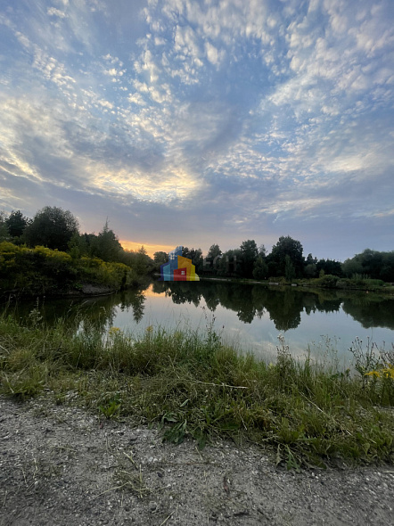  29