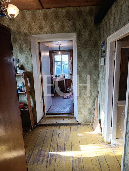  19