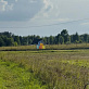  30