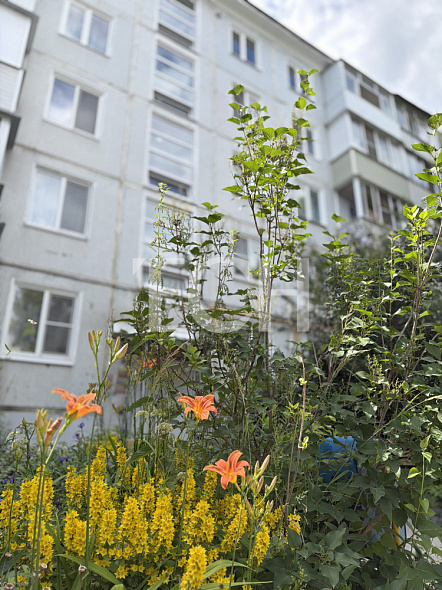 Продажа 3 комнатной квартиры, 46.4 м2, обл. Тульская, г. город Белев, Рабочая улица, 44 16