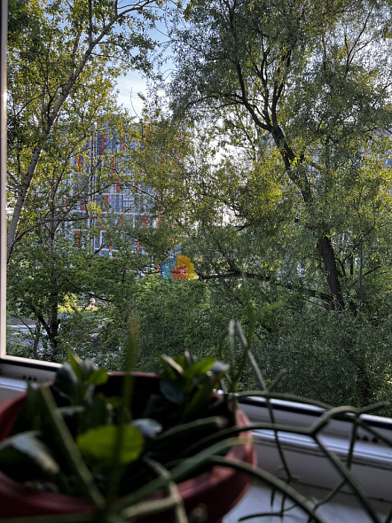 Продажа 3 комнатной квартиры, 56 м2, обл. Тульская, г. Тула, улица Седова, 39 10