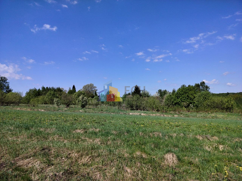  26