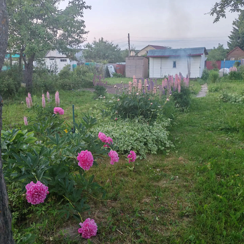 Купить дачи в Туле СНТ и Тульской области - Единая служба недвижимости 